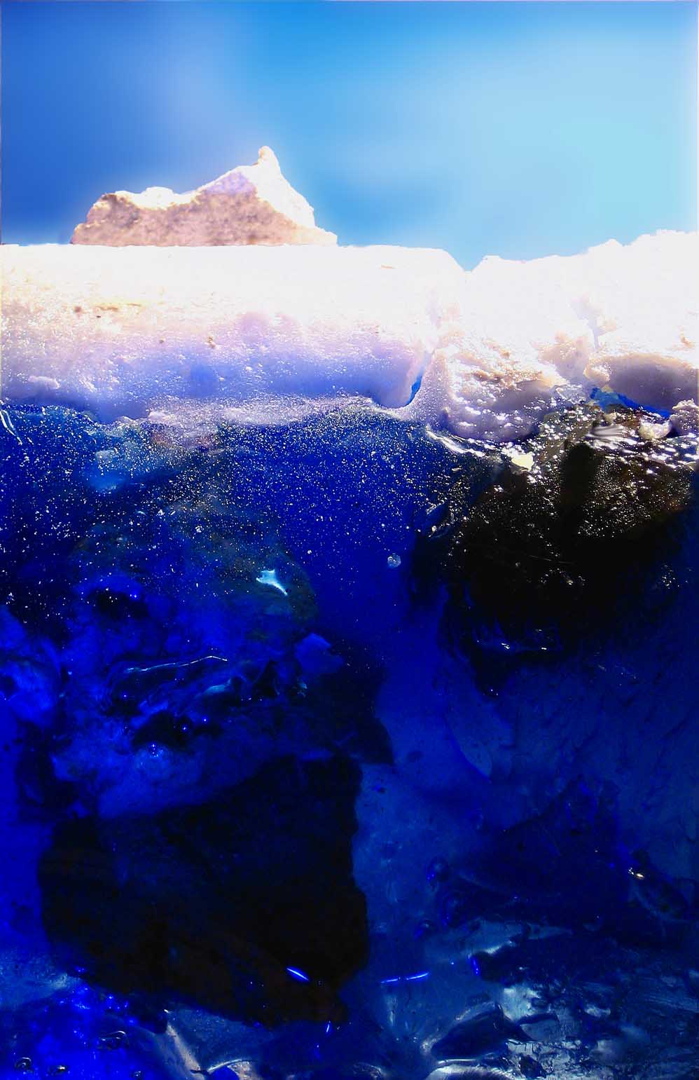 Photography by poisonyvy for DesignCrowd (Community Contests) | Design #9019338