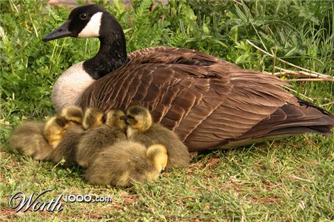 Photography by rdchdwck