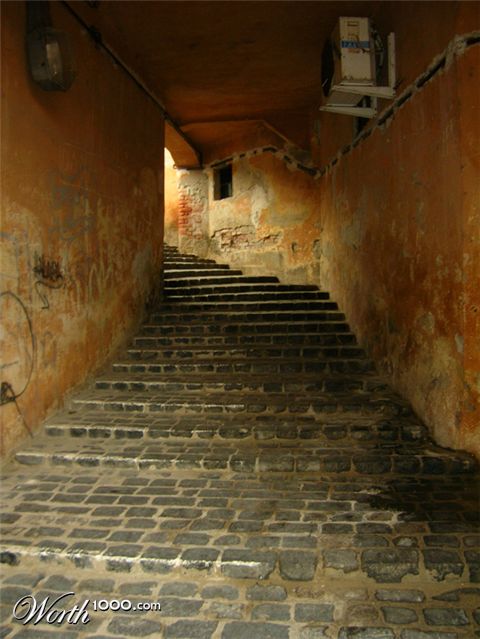 Photography by tonedeft