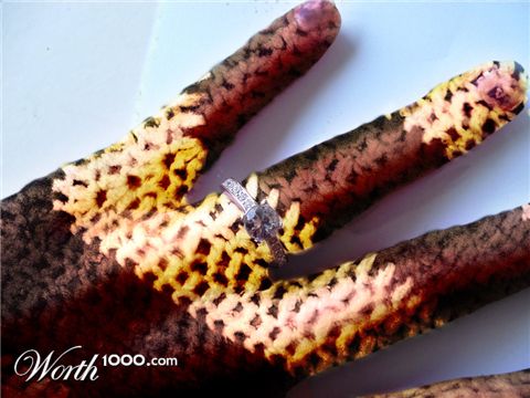 Photoshop Design by Zalgren