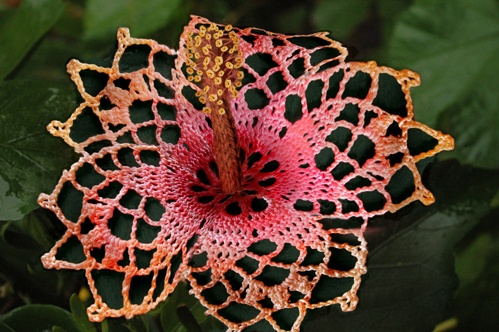 Design Photoshop par FireDragon101 pour DesignCrowd (Community Contests) | Design #9020613