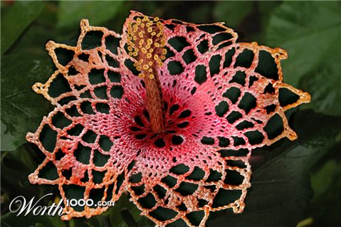 Photoshop Design by FireDragon101