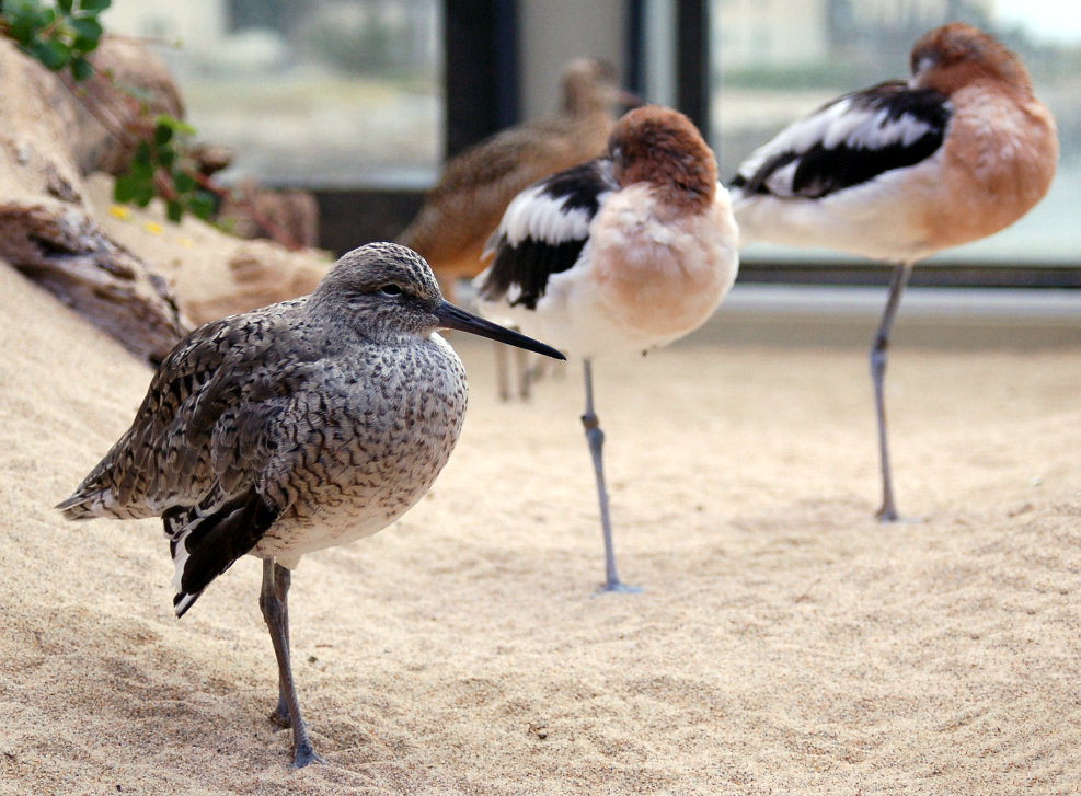 Photography by tlovesd for DesignCrowd (Community Contests) | Design #9023942