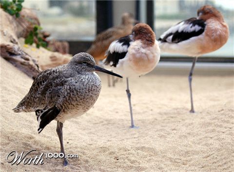 Photography by tlovesd