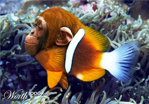 Photoshop Design by macgek