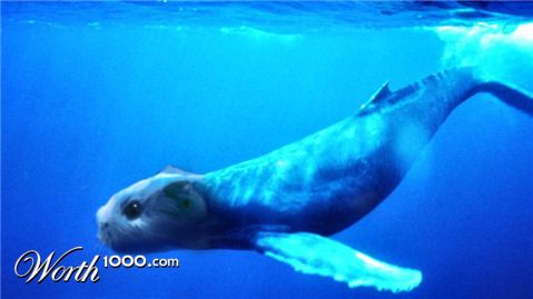 Photoshop Design by Stubblychin