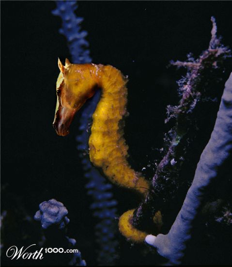 Photoshop Design by Ernestostada