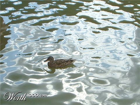 Photography by Maverick900407