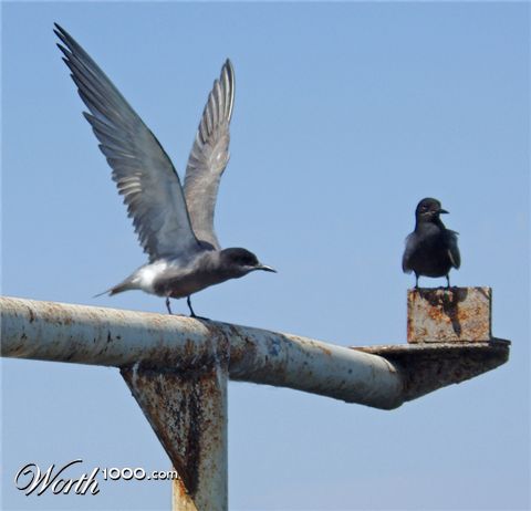 Photography by anat0lik
