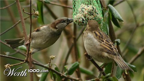 Photography by DoggySpew