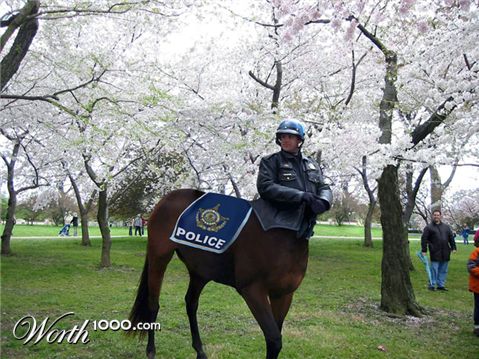 Photoshop Design by hechtal