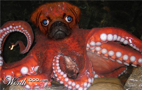 Photoshop Design by Supdog