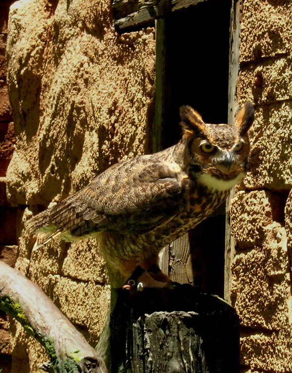 Photography by coolpix2 for DesignCrowd (Community Contests) | Design #9024013