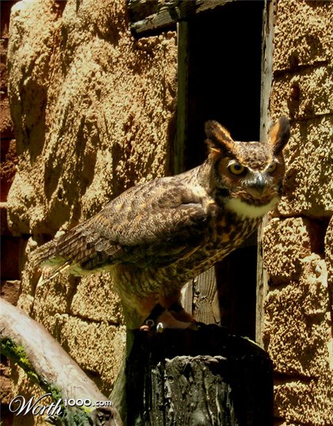 Photography by coolpix2