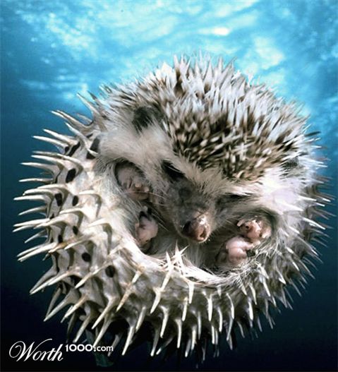 Photoshop Design by Dylkan