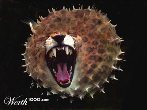 Photoshop Design by RickLaMesa