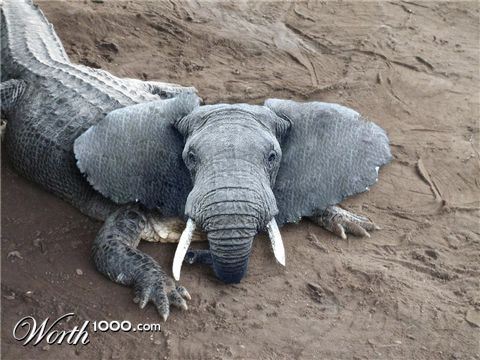 Photoshop Design by NeeNeeLouWho