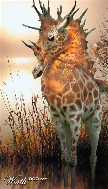 Photoshop Design by cameon