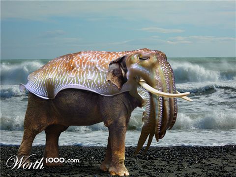 Photoshop Design by HDoyer