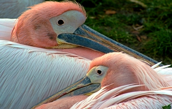 Photography by splong for DesignCrowd (Community Contests) | Design #9024053