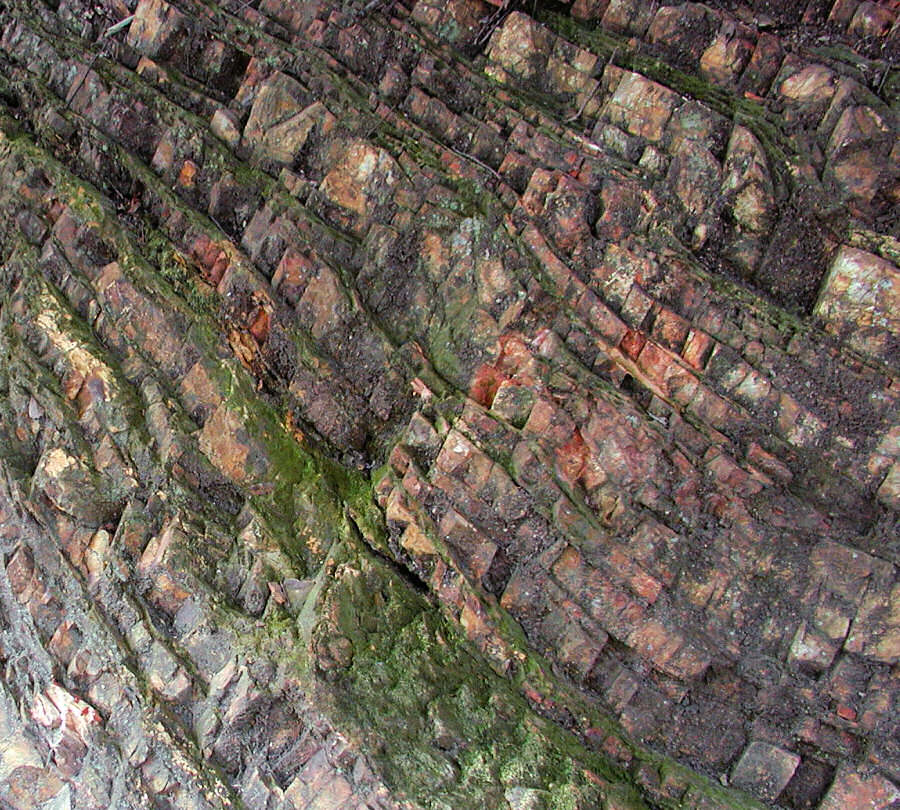 Fotografie von NatashaP für DesignCrowd (Community Contests) | Design #9023649