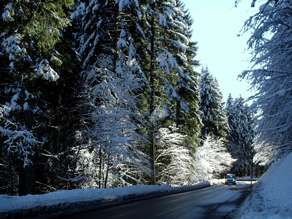 Photography by splong for DesignCrowd (Community Contests) | Design #9023861