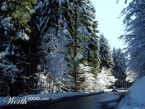 Photography by splong