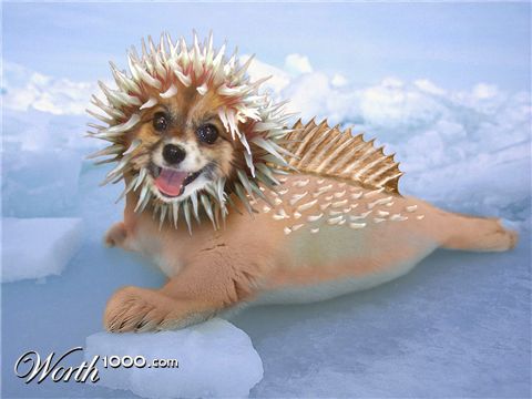 Photoshop Design by Wazupdoc