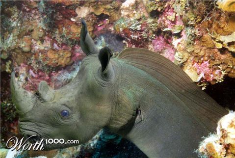 Photoshop Design by DebCam