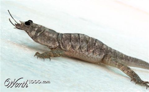 Photoshop Design by spiraleye