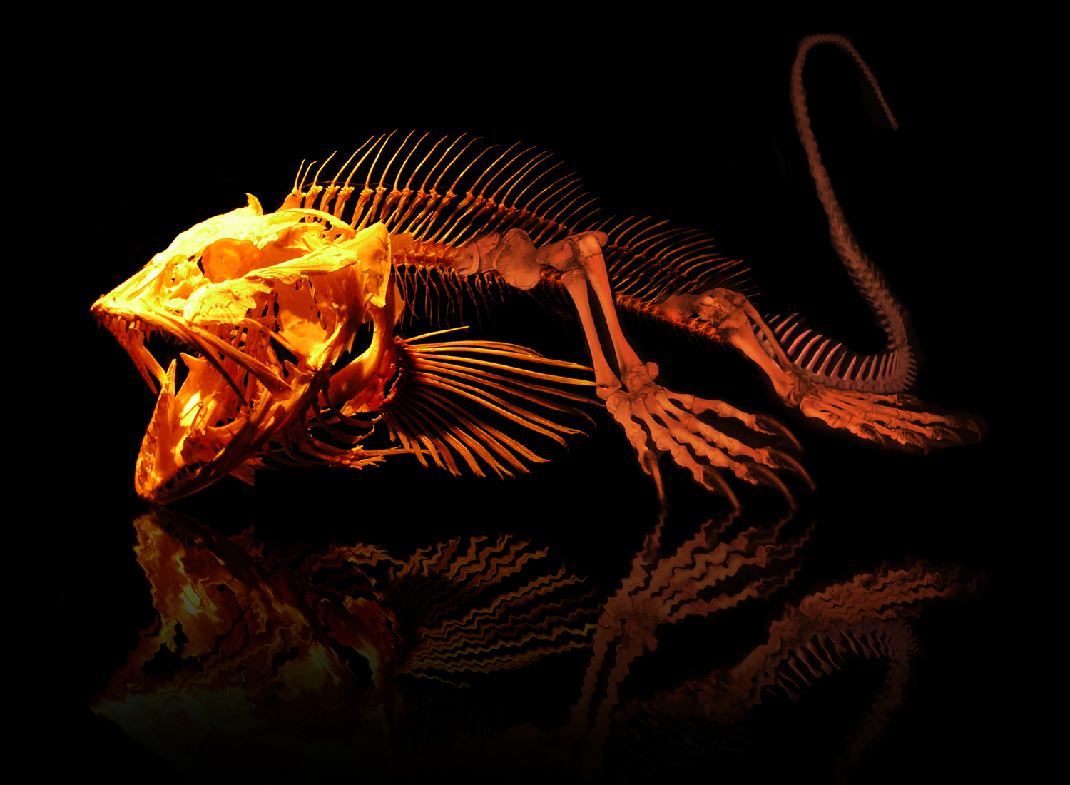 Photoshop Design by Albertinou for DesignCrowd (Community Contests) | Design #9019729