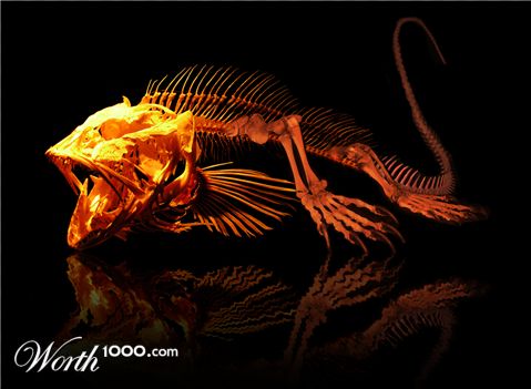 Photoshop Design by Albertinou