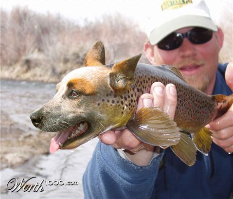 Photoshop Design by sugarcane