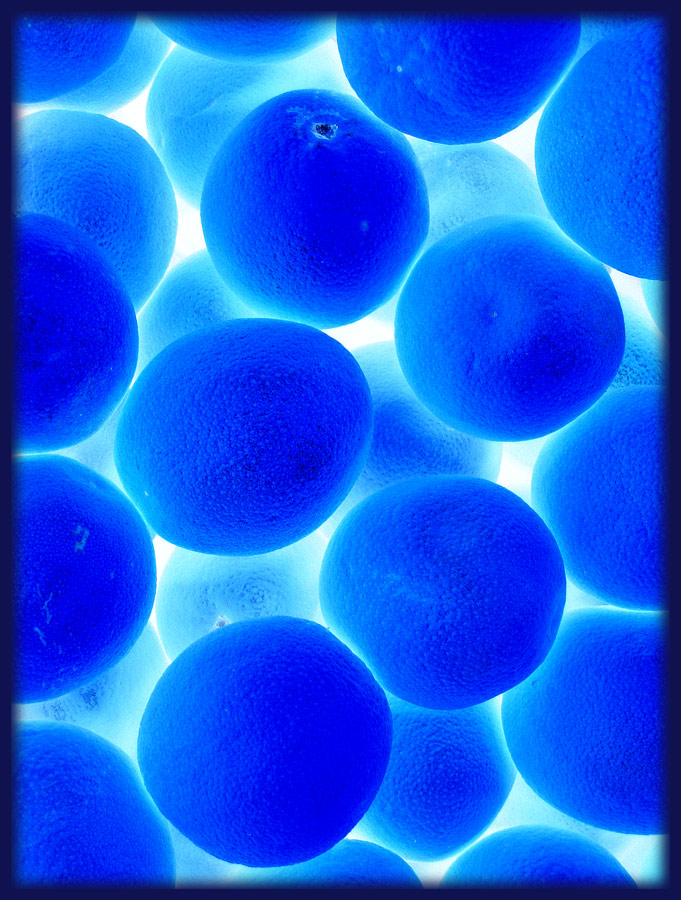 Photography by Limitchik for DesignCrowd (Community Contests) | Design #9020925