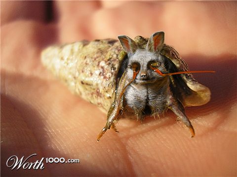 Photoshop Design by somebodyhere