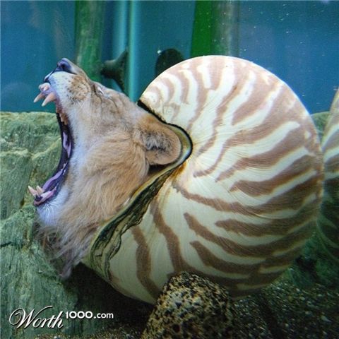 Photoshop Design by Fishwife