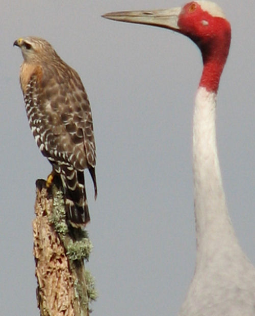 Photography by angel2kiss for DesignCrowd (Community Contests) | Design #9024005