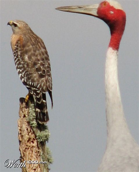 Photography by angel2kiss