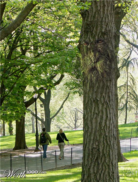 Photoshop Design by bennyandthemets