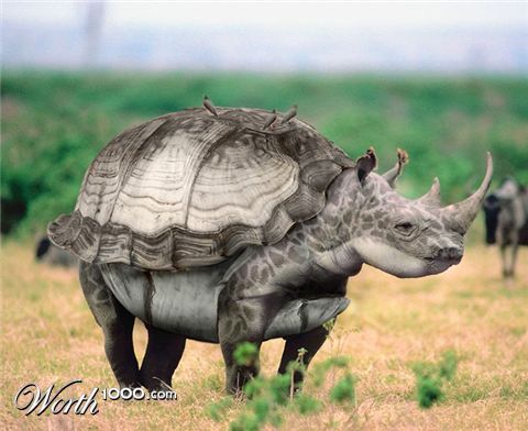 Photoshop Design by printerdriver