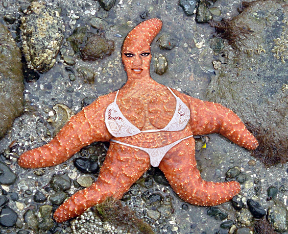 Photoshop Design by tjroland for DesignCrowd (Community Contests) | Design #9019755