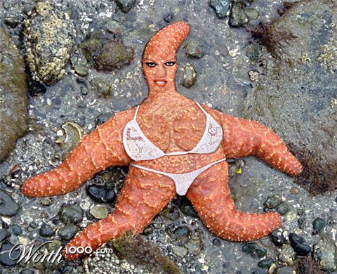 Photoshop Design by tjroland