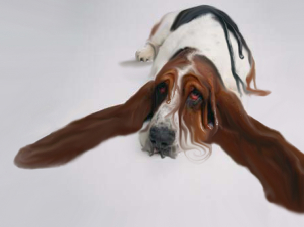 Photoshop Design by RachelB for DesignCrowd (Community Contests) | Design #9020373