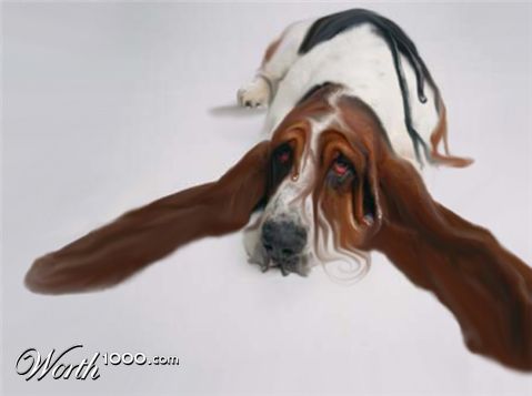 Photoshop Design by RachelB