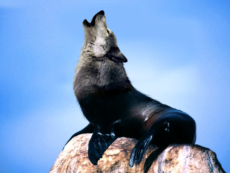 Photoshop Design by Mishikal for DesignCrowd (Community Contests) | Design #9019768