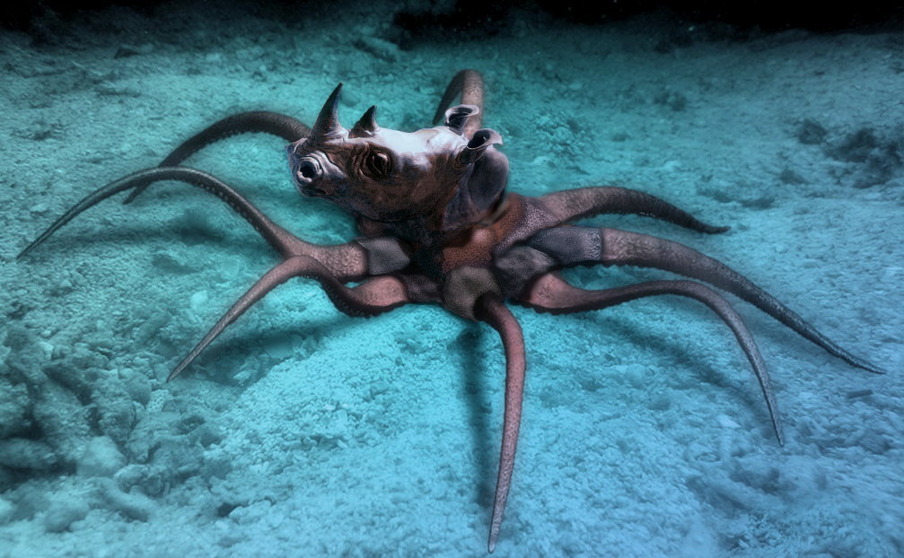 Photoshop Design by HopePhoto for DesignCrowd (Community Contests) | Design #9019788