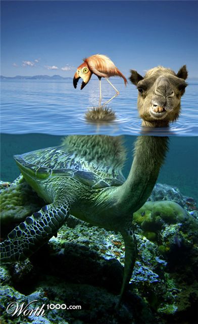 Photoshop Design by imagarth