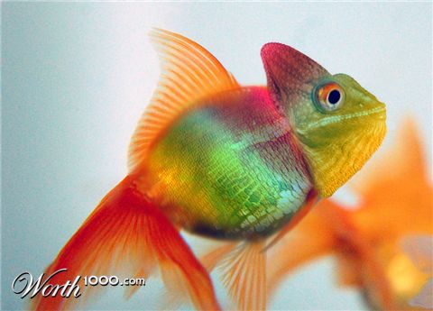 Photoshop Design by stegosaur