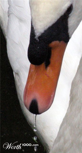 Photography by AsierReisa