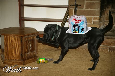 Photoshop Design by wwonka